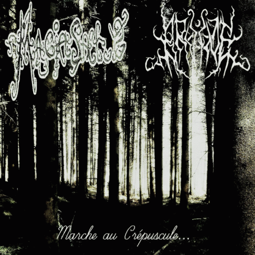 Magia Saltus : Marche au Cr​é​puscule​.​.​.